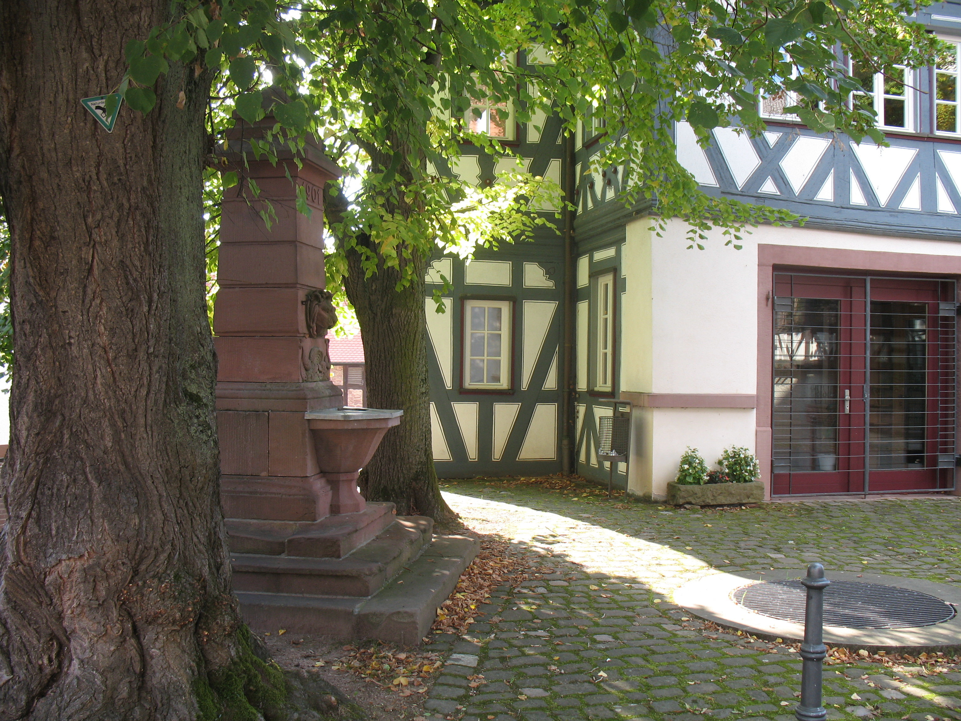 Das Röllfelder Rathaus mit Brunnen und Dorflinde